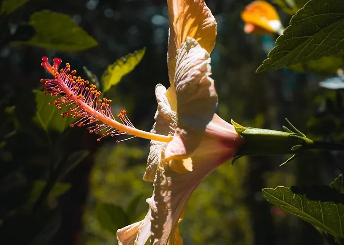 Casa Tikawarmi Frühstückspension *